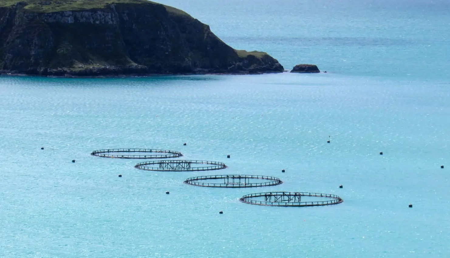 View Fish Farms1395